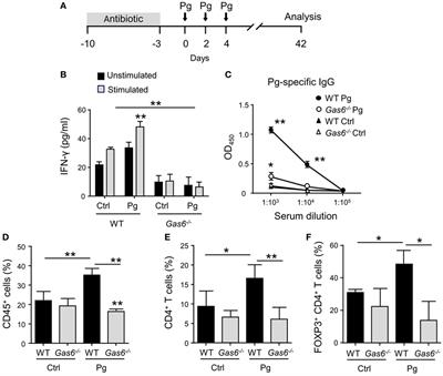 Multiple Regulatory Levels of Growth Arrest-Specific 6 in Mucosal Immunity Against an Oral Pathogen